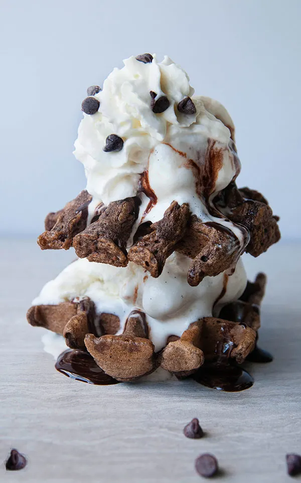 Gluten Free Chocolate Waffles Seasoned Sprinkles