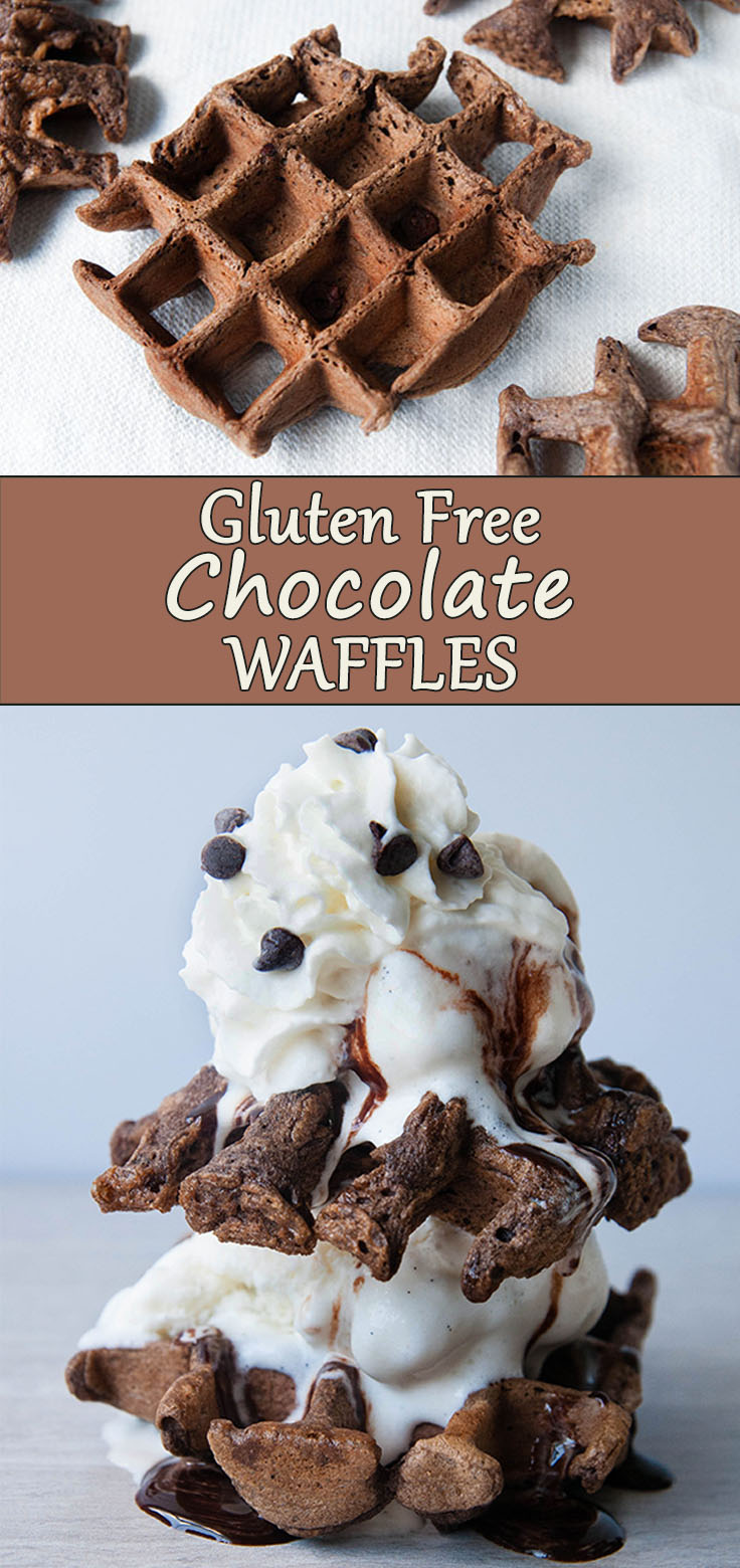 Gluten Free Chocolate Waffles