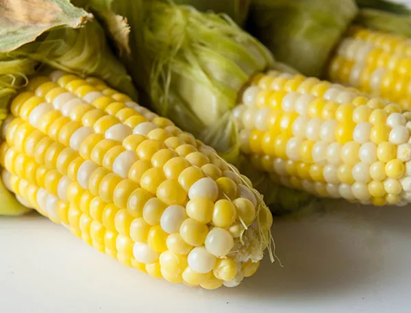 Easy No Shuck Oven Baked Corn on the Cob