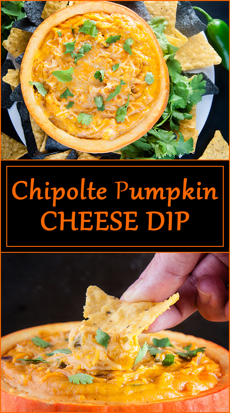 Chipotle Pumpkin Cheese Dip from www.SeasonedSprinkles.com