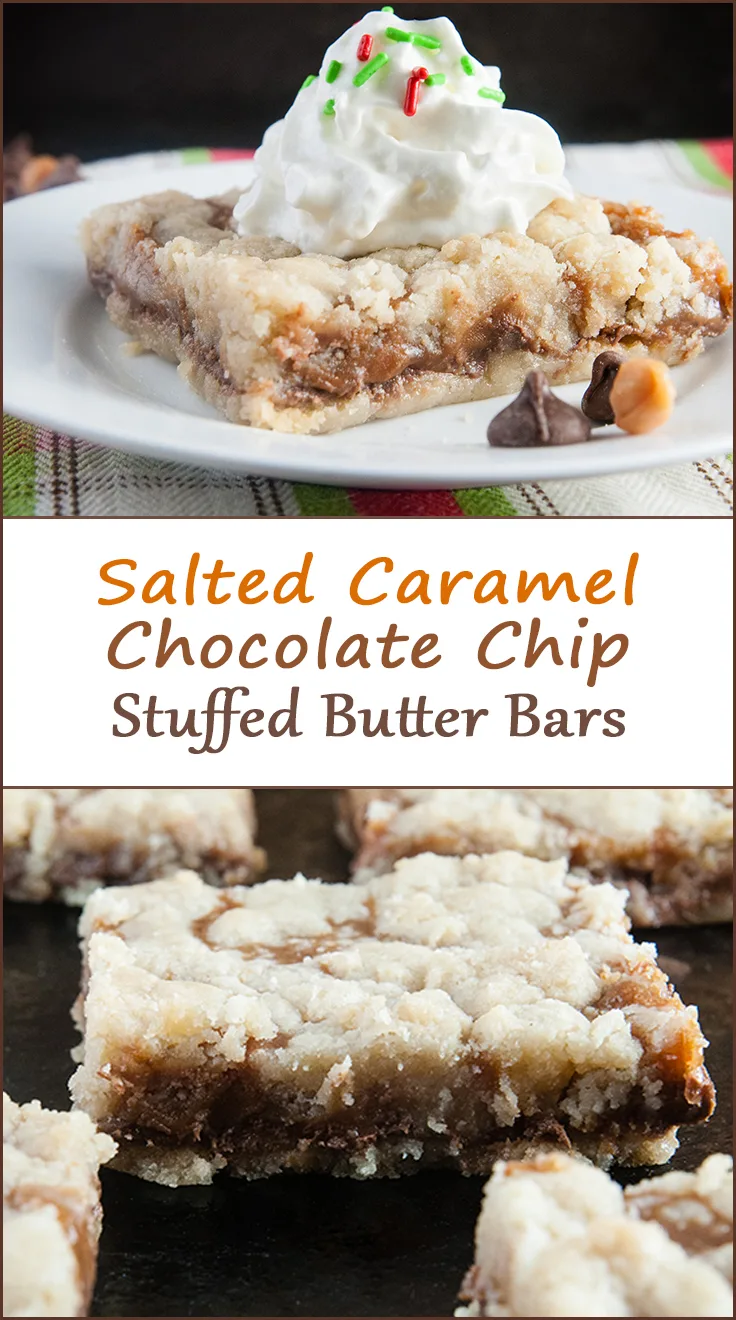 Salted caramel chocolate chip butter bars from www.SeasonedSprinkles.com