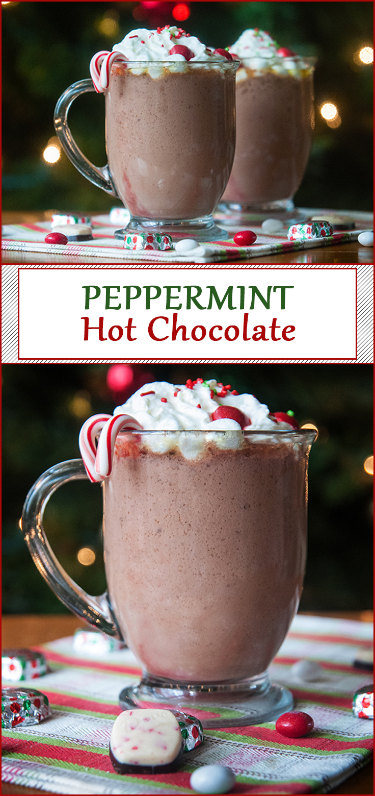 Easy Slow Cooker Peppermint Hot Chocolate from www.SeasonedSprinkles.com