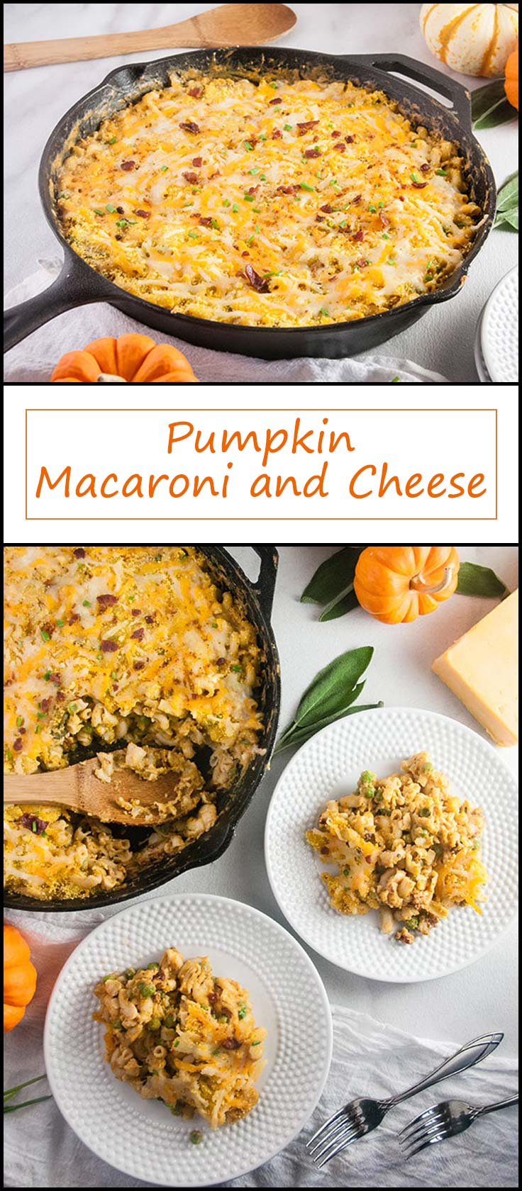 Pumpkin Macaroni and Cheese with Pancetta and Peas from www.seasonedsprinkles.com