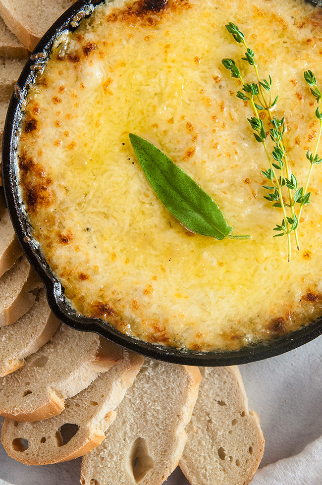 Caramelized Onion Cheese Dip