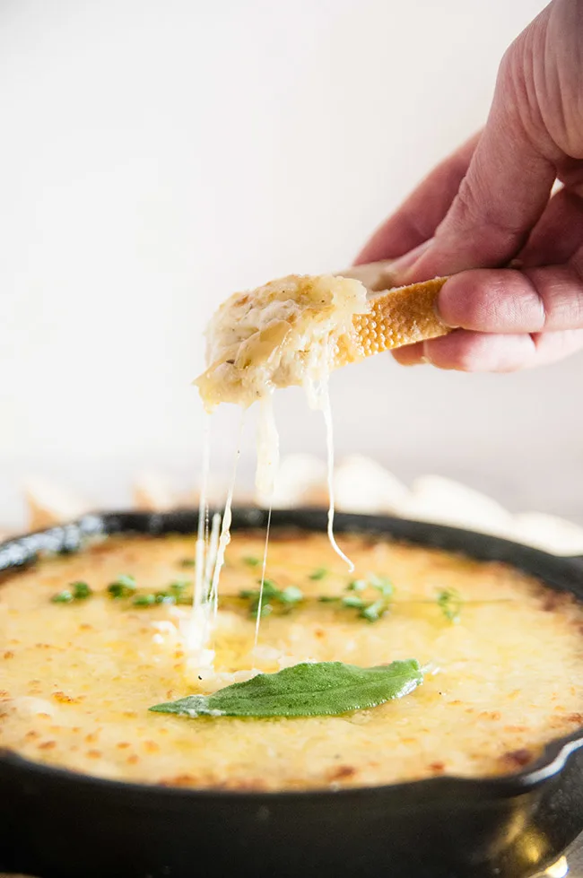 Caramelized Onion Cheese Dip