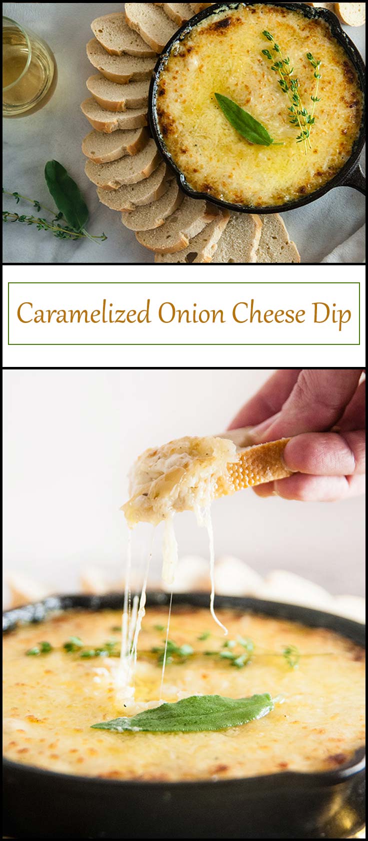 Caramelized Onion Cheese Dip from www.seasonedsprinkles.com