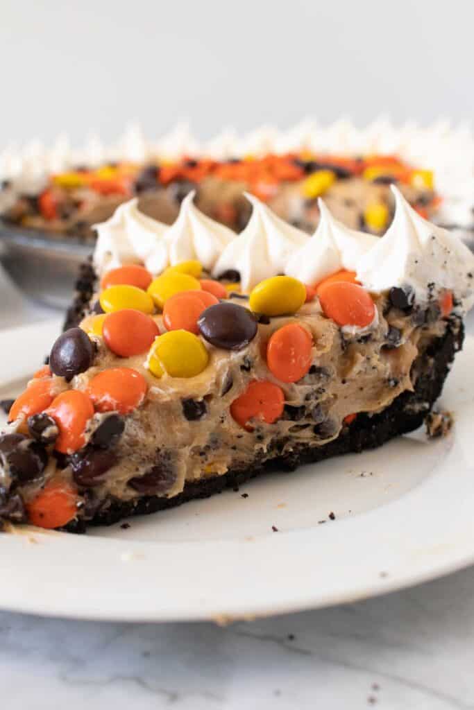 No Bake Peanut Butter Pie-9