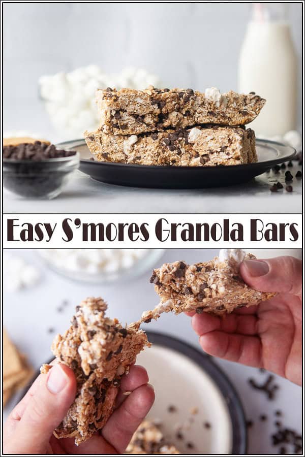 No Bake S'mores Granola Bars Seasoned Sprinkles