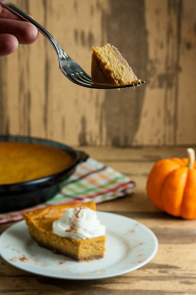 Italian Style Pumpkin Cheesecake