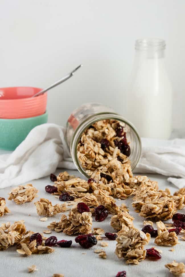 Cranberry Almond Granola