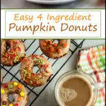 Easy Pumpkin Donuts