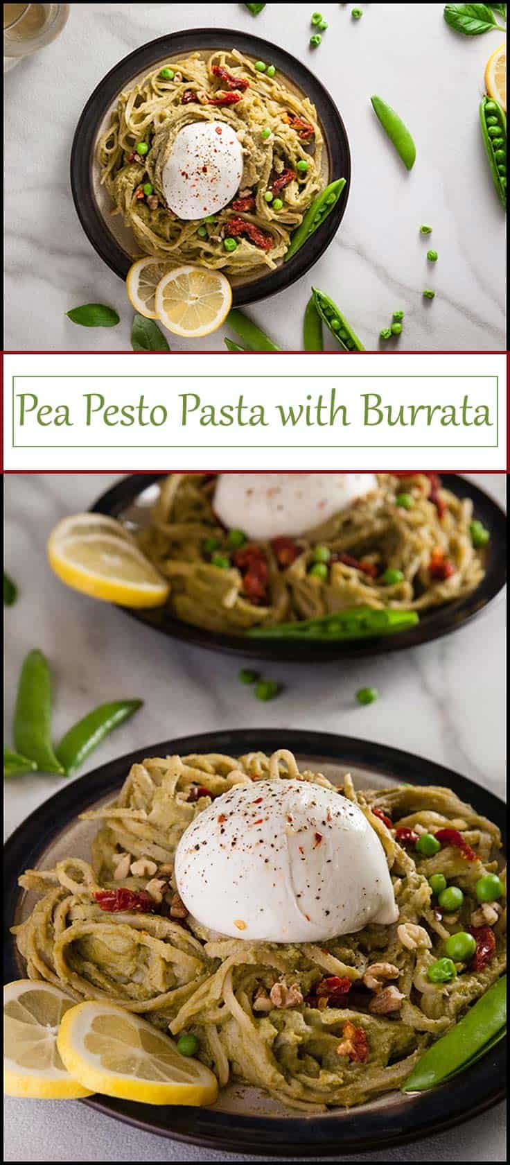 Pea Pesto Pasta with Burrata and Sun Dried Tomatoes - Seasoned Sprinkles