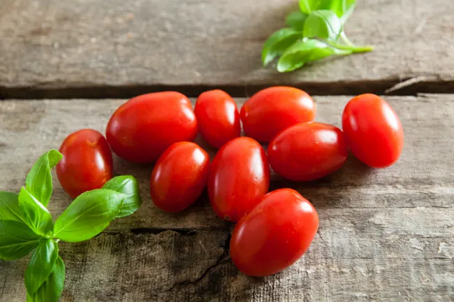 Cherry Tomatoes and Basil