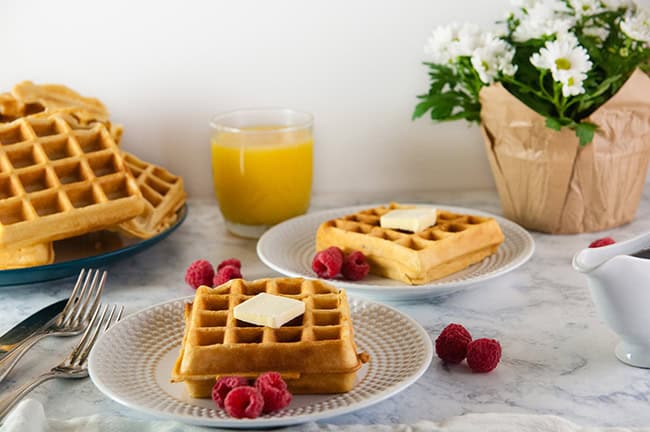 The Best Fluffy Waffle Recipe - Seasoned Sprinkles