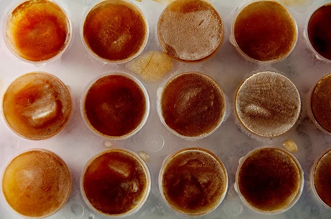 coffee ice cubes