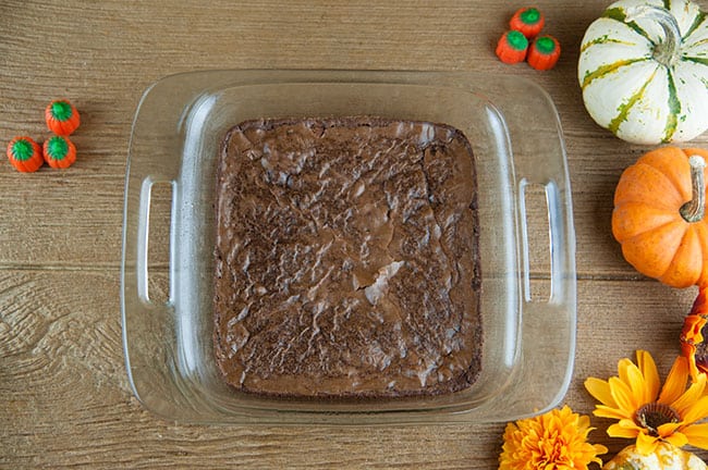 A tray of brownies on wood with fall pumpkins and florals