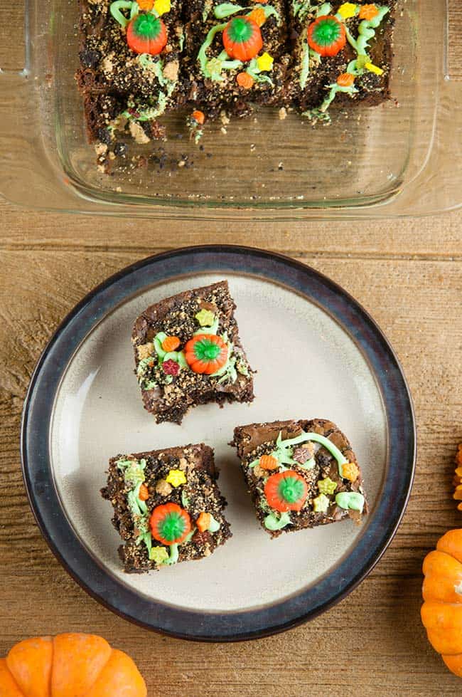 An easy food craft for Halloween and fall, pumpkin patch brownies in a glass dish on wood with pumpkins