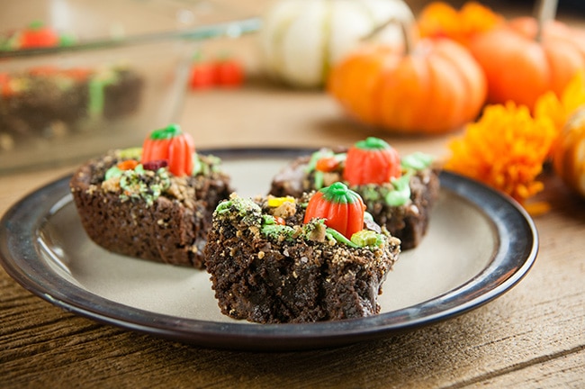 Plate with 3 pumpkin patch brownies on wood