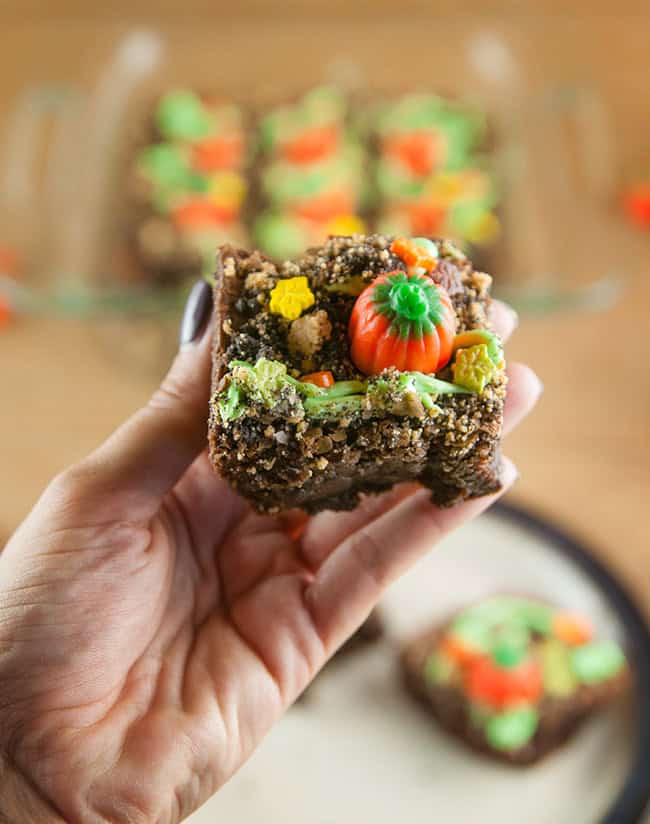 Hand holding a pumpkin patch brownie on wood