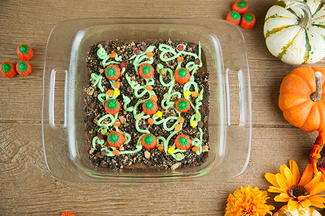 An easy food craft for Halloween and fall, pumpkin patch brownies in a glass dish on wood with pumpkins