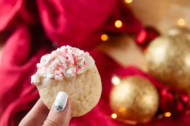 Hand holding sugar cookie dipped in white chocolate and crushed candy canes in front of holiday bulbs and lights