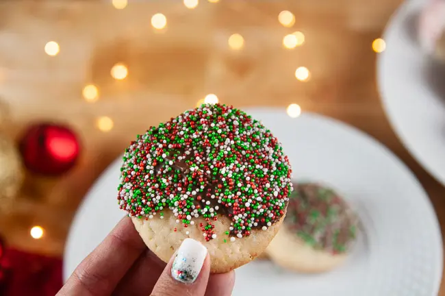 Hand holding a sugar cookie dipped in chocolate and sprinkles
