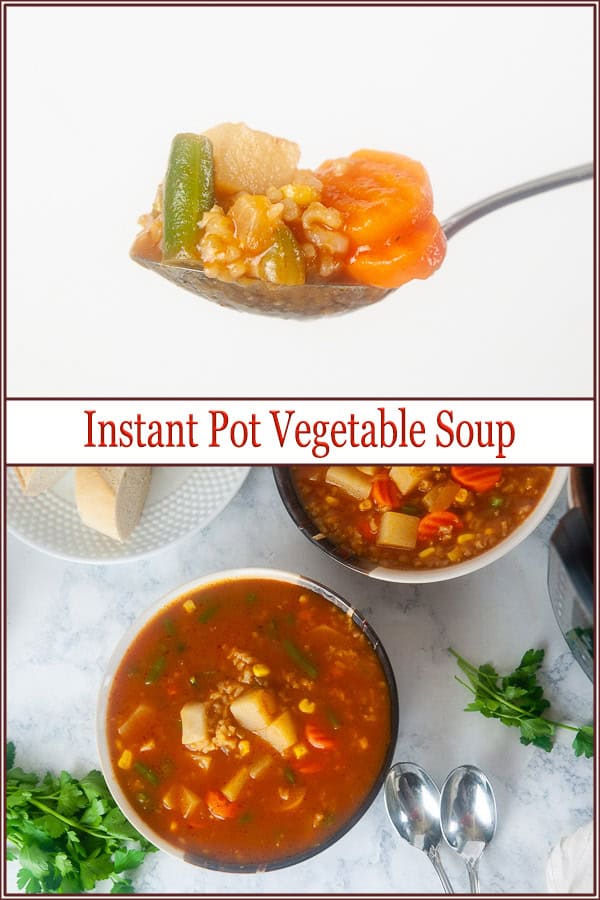 Instant Pot Vegetable Soup with Rice - Seasoned Sprinkles