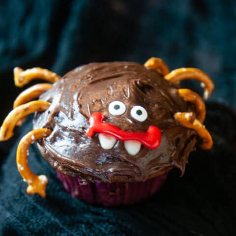 A chocolate cupcake decorated like a spider with pretzel legs and candy eyes for Halloween on black