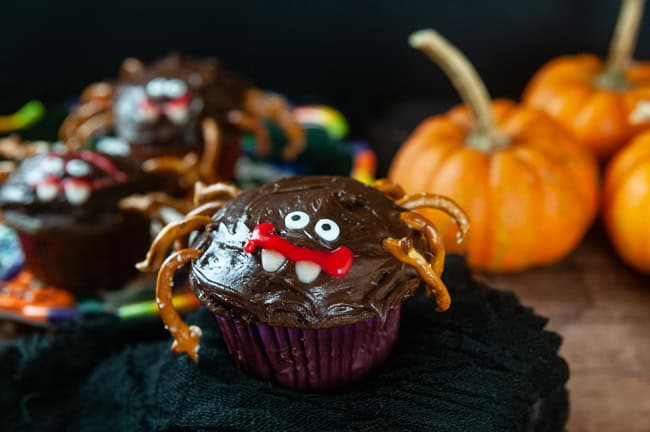 A chocolate cupcake decorated like a spider with pretzel legs and candy eyes for Halloween on black