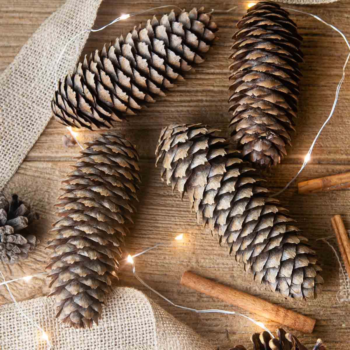 Festive diy scented pinecones on wood with cinnamon brighten up the colder months