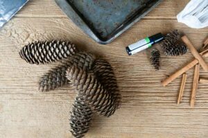 Materials to make diy cinnamon pine cones: aluminum foil, a baking sheet, pine cones, plastic bags, cinnamon sticks, cinnamon oil