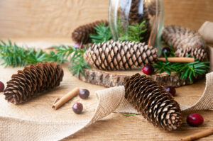DIY scented pine cones on wood with burlap, lights, pine, cranberries and cinnamon sticks.