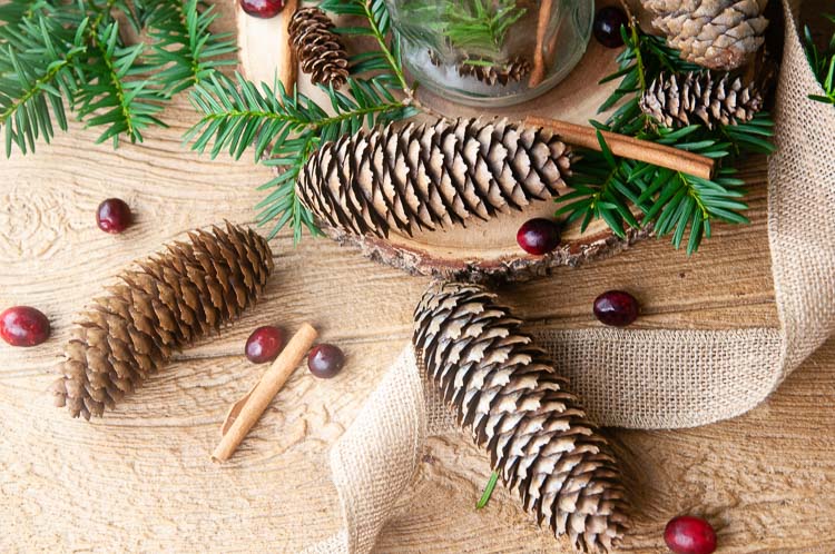 DIY Cinnamon pine cones on wood with burlap, lights, pine, cranberries and cinnamon sticks.