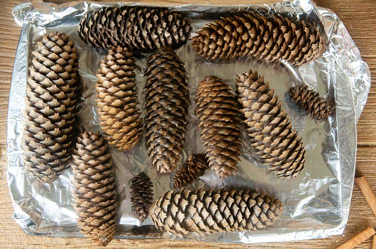Pine cones on a baking tray ready to dry
