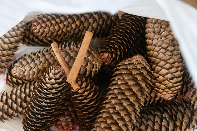 Pine cones in a bag with cinnamon sticks