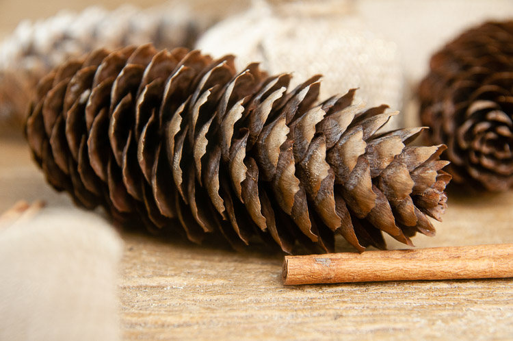 Festive diy scented pinecones on wood with cinnamon brighten up the colder months