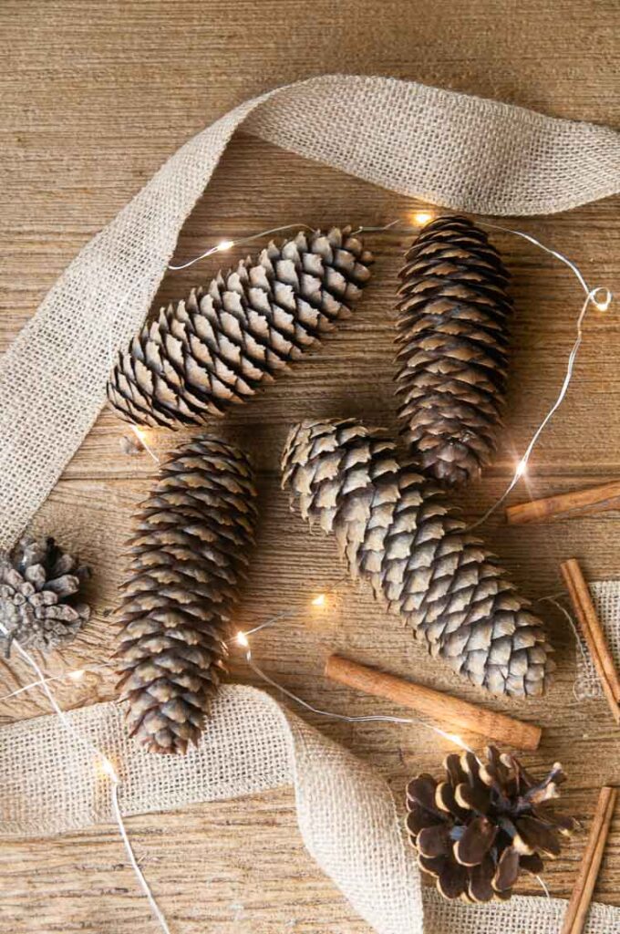 Learn how to make cinnamon pine cones and use them for decorating. Image shows pine cones on wood with burlap, lights and cinnamon sticks.