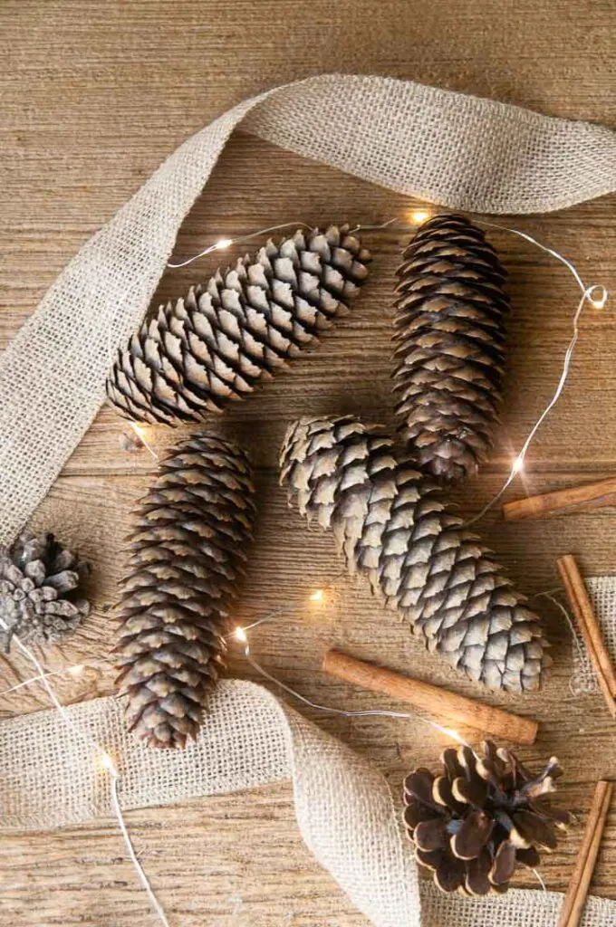 Clever Ways to use Pine Cones for Christmas Decorations