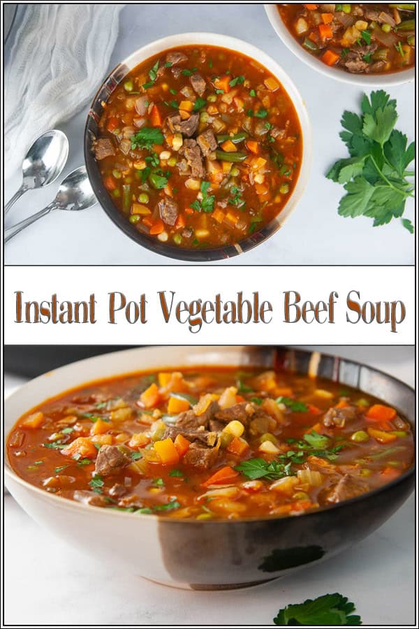 Instant Pot Vegetable Beef Soup Seasoned Sprinkles