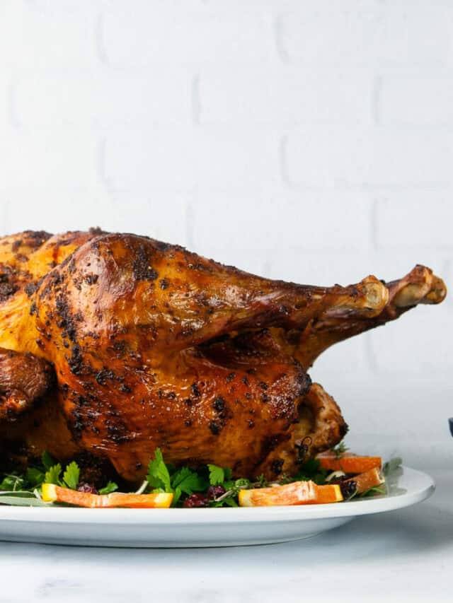 Garlic Butter Basted Turkey Seasoned Sprinkles