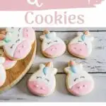 Unicorn Cookies Graphic Pin