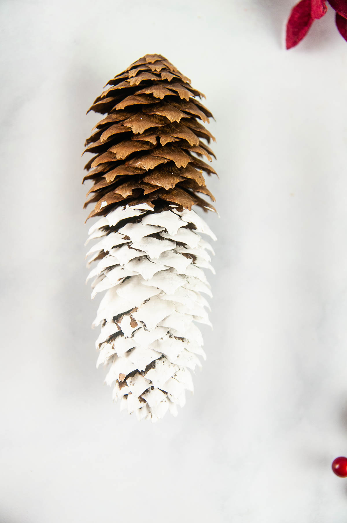 Paint half of the pinecone white.
