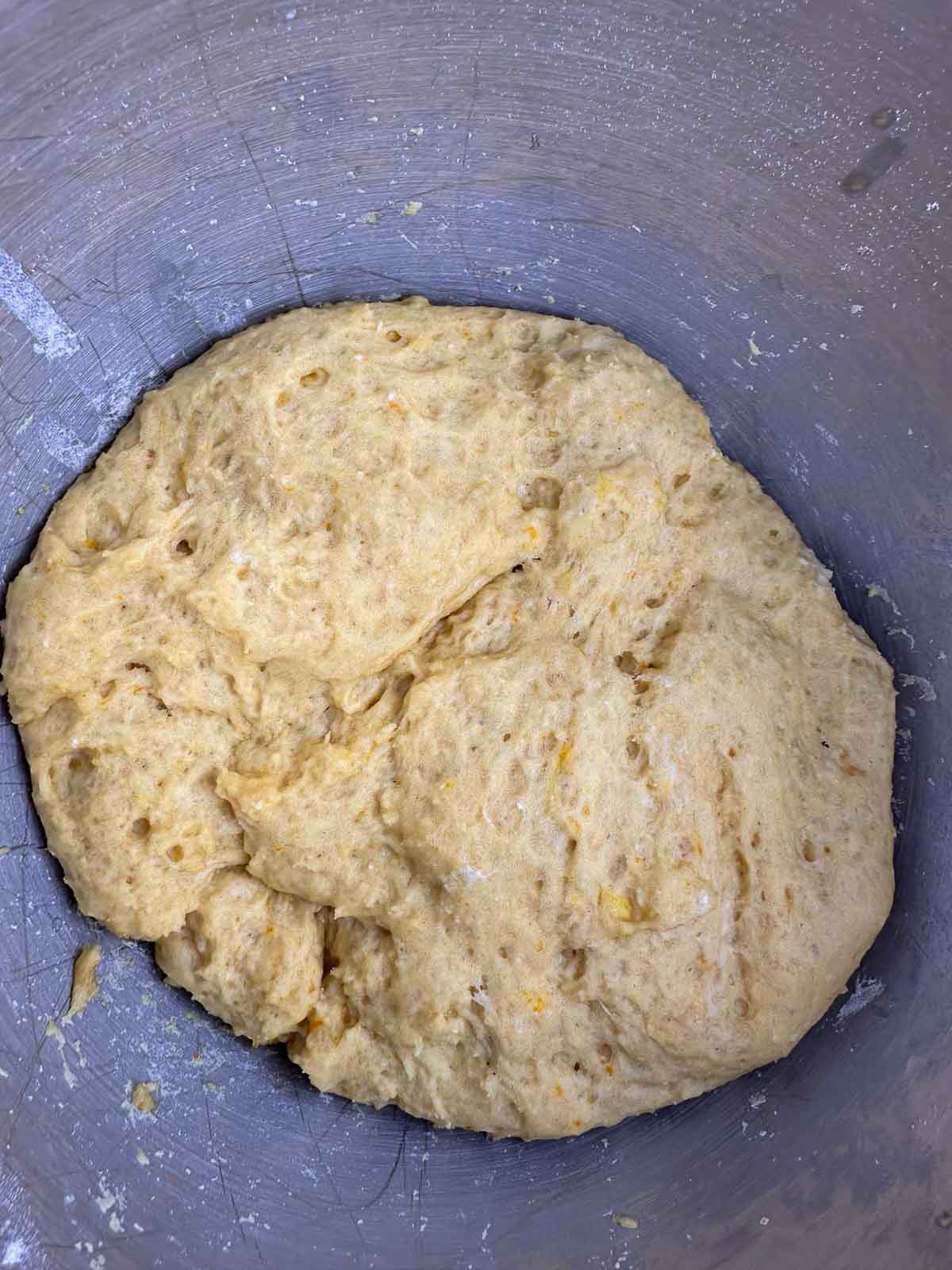 The Italian Easter bread dough after the first rise